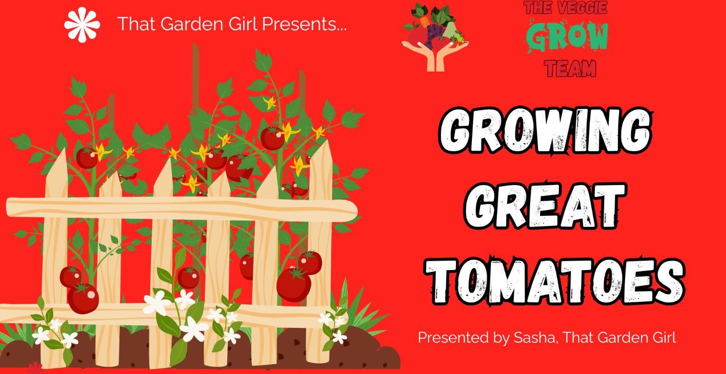 Growing Great Tomatoes
