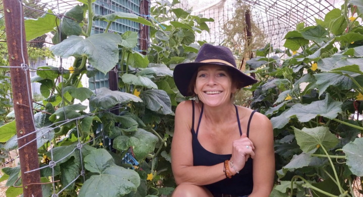 How's you summer garden going? What's thriving? What's struggling?