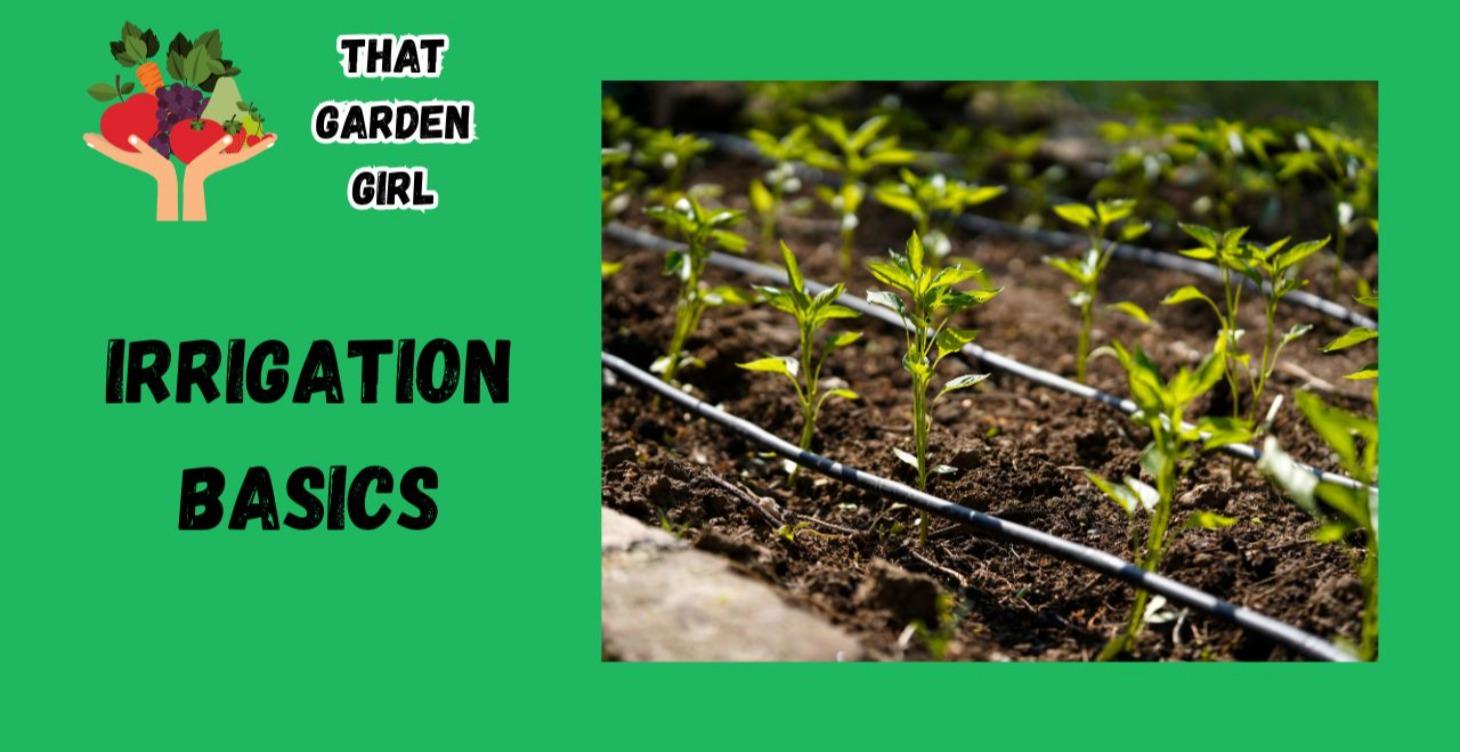 IRRIGATION BASICS