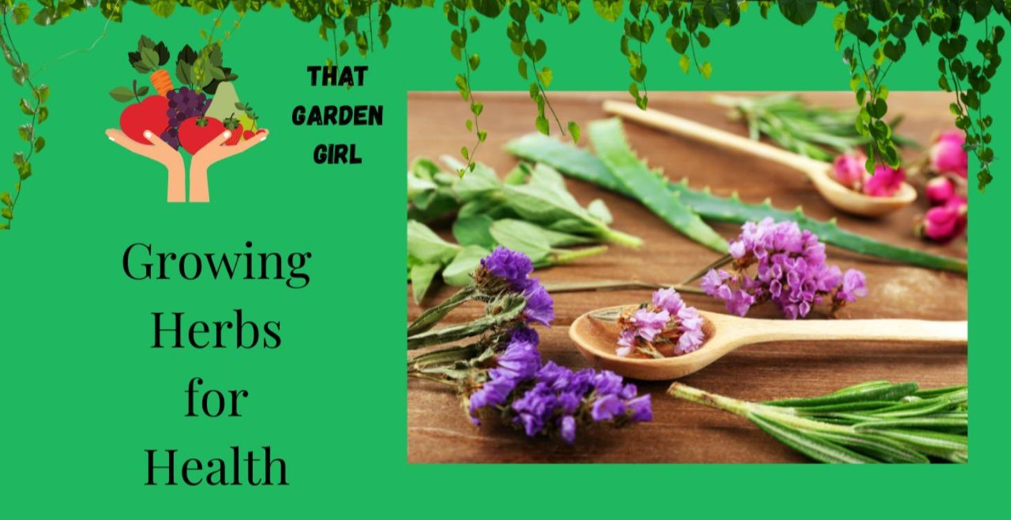 GROWING HERBS FOR HEALTH
