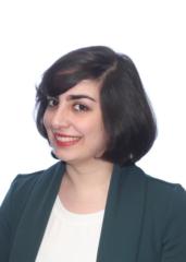 Bahareh Salafian