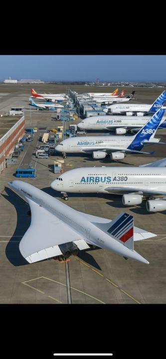 Réka Enikő Galambos