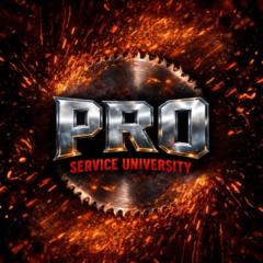 Pro Service University