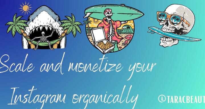 Organic Instagram Growth Hub