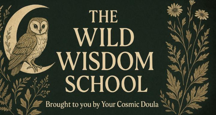 THE WILD WISDOM SCHOOL