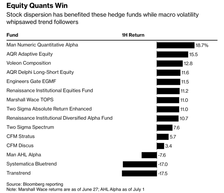 Top hedge funds 1H 2025 return