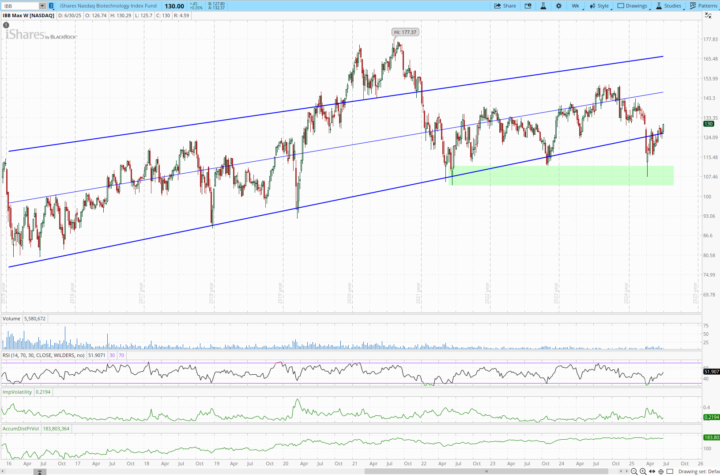 Biotechnology Index Fund IBB 