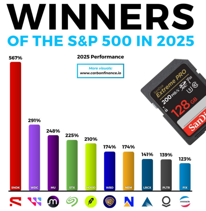 Winners & Lossers of the S&P 500 in 2025