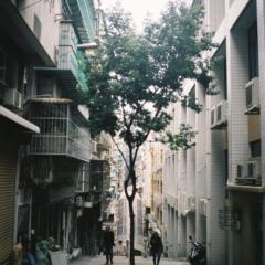 Chadi N