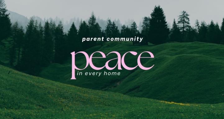 Peace In Every Home