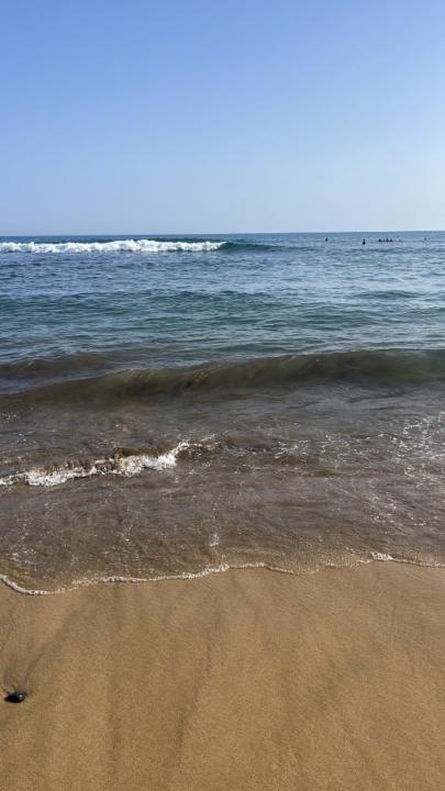 Gustavo Perez mejias