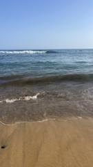 Gustavo Perez mejias