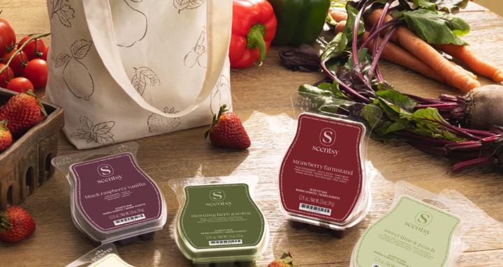 Scentsational scent society