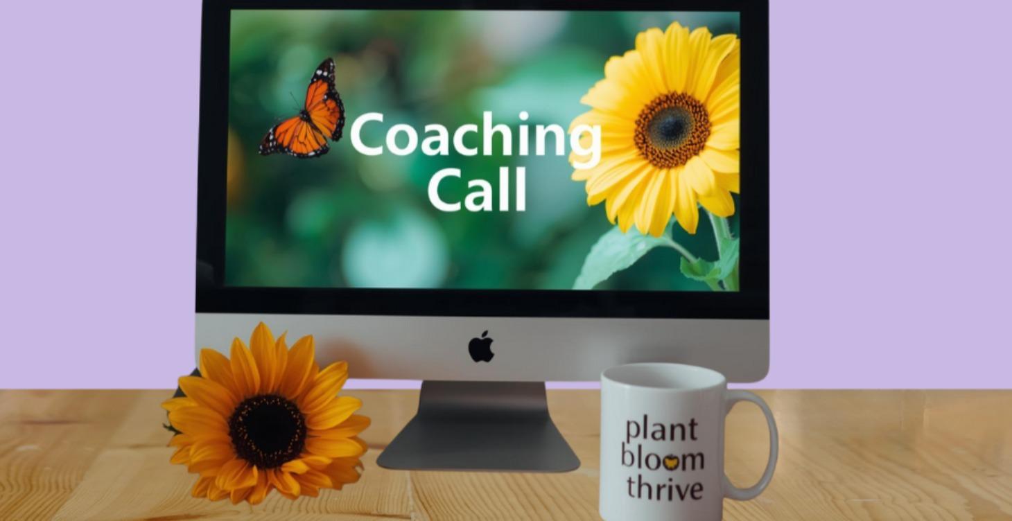 Coaching Call