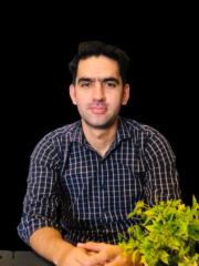 Waseem Faraz