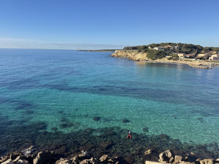 Daily check in - 9PP