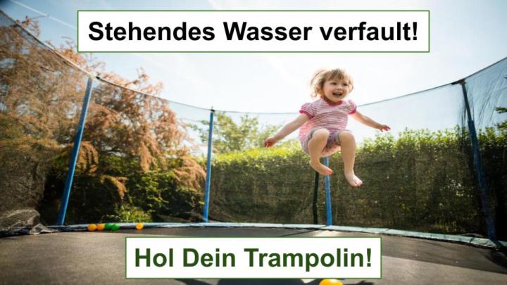 Die Wahrheit, die dir sonst niemand sagt I The Truth No One Else Is Telling You About