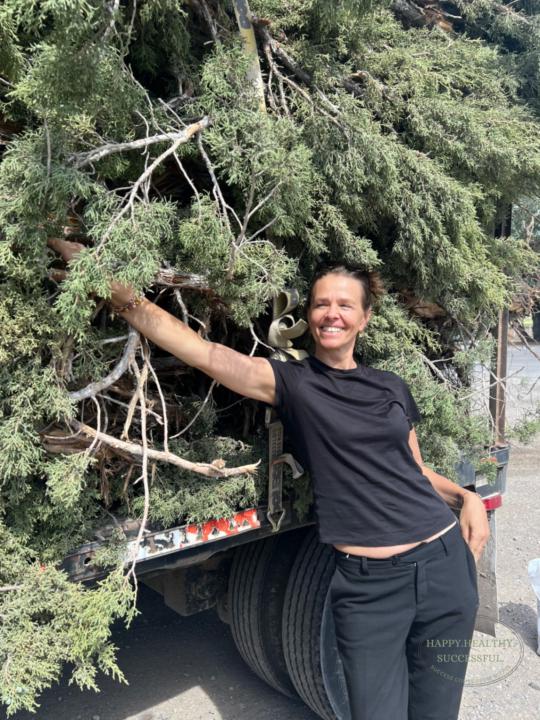 Diese Gruppe schliesst zum 11.3.2026 I This group closes 11th of March 2026