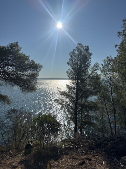 Einen wunderschönen Sonntag allen zusammen - Good Morning ☀️