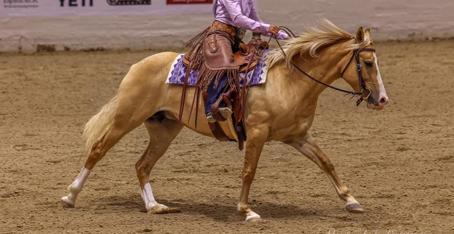 Cowgirl Ignite - Business