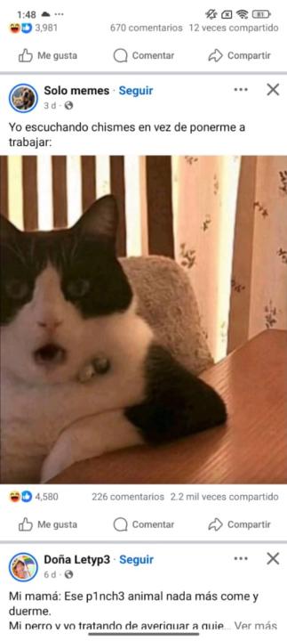 Alondra Lucia Diaz bautista