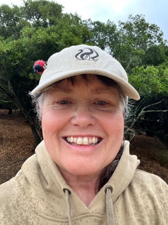 Julie Lucchesi