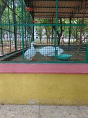 Raja Shekhar Potoori