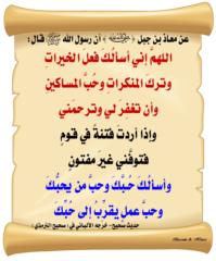 ش ش