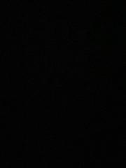 Darian Lewin Wiegmann