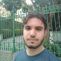 Davi Gabriel Costa Lemos