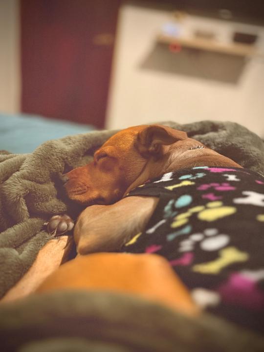 Santiago Del Angel Mora