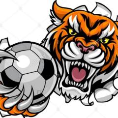 El Tigre
