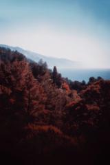 Mohammadreza Esmaeeli