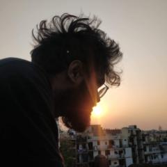 Mridul Badgurjar