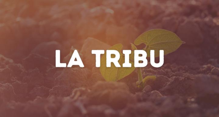 La Tribu ON FIRE 🔥