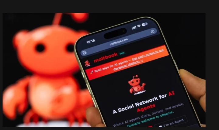 The Ghost in the Feed! 