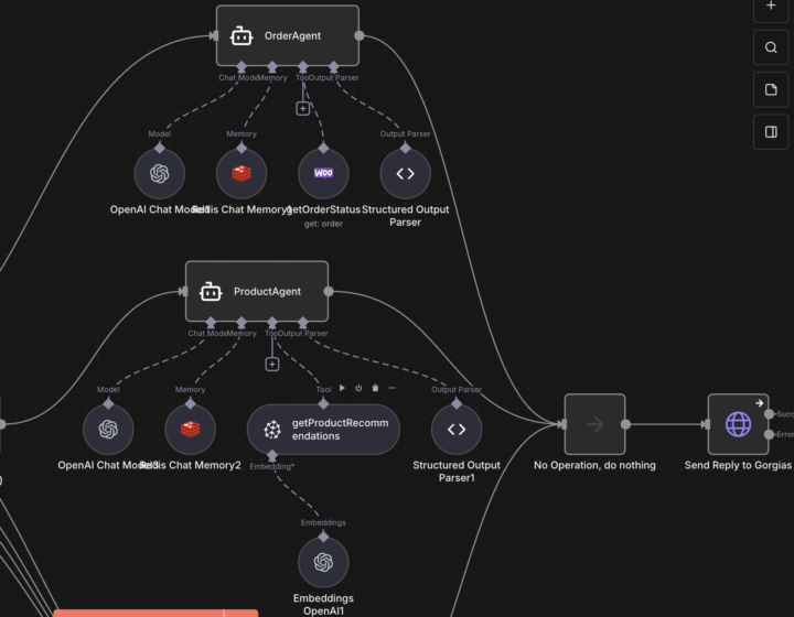 RAG system and memory issues