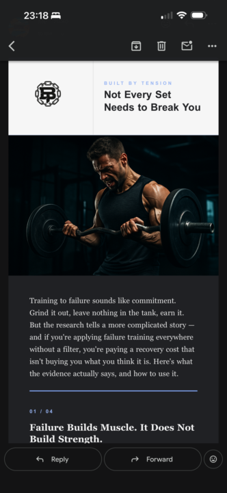 Day 1 Newsletter Build