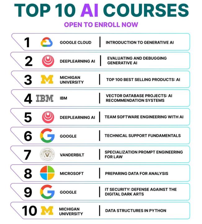 The Hustle Diaries: A Laptop, A Dream, and Endless Learning