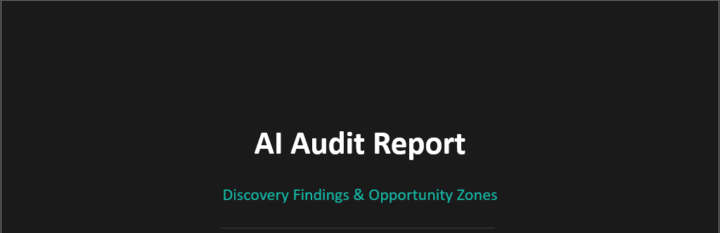 I did my first AI audit for a business owner this week!!
