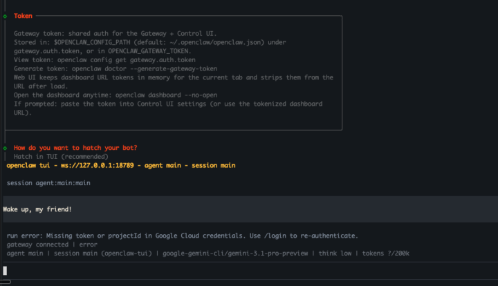 Openclaw setup with Gemini subscription anyone?