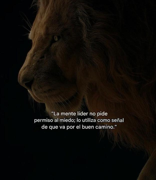 Frase de Martes 