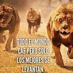 A seguir adelante.