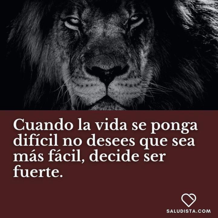 Mente de león 