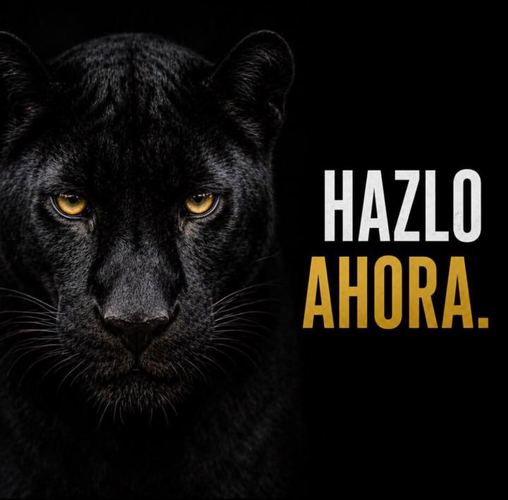 Dudas 