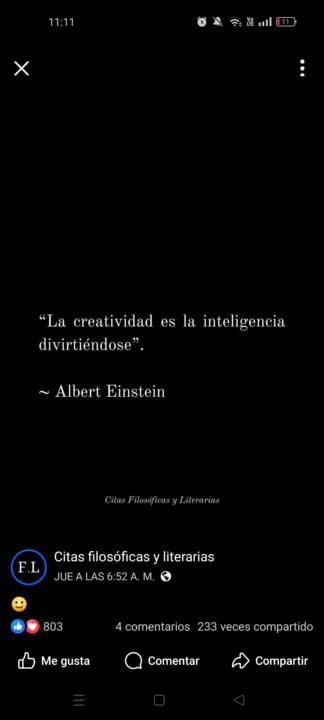 La creatividad es la inteligencia divirtiéndose 🦋