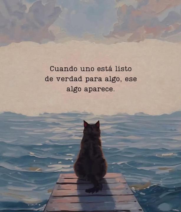 Estás lista??? Listo???