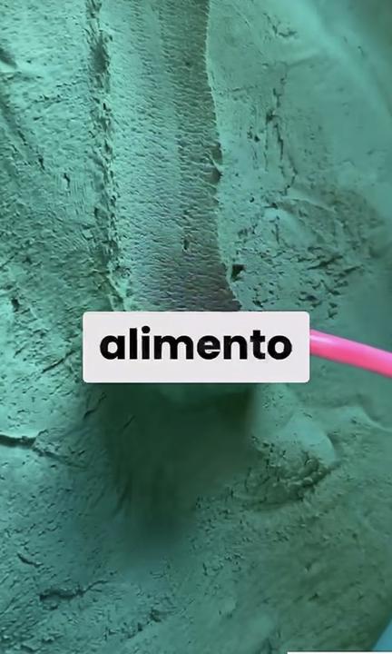 🔆VERDE SÚPER ALIMENTO🔆💚