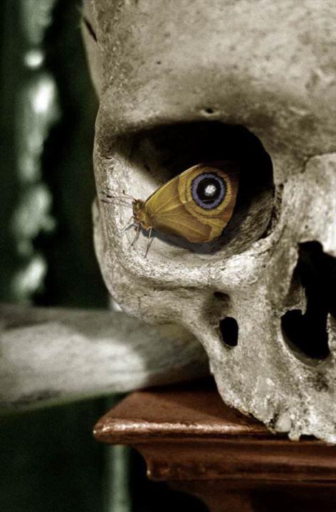💀🦋👁️