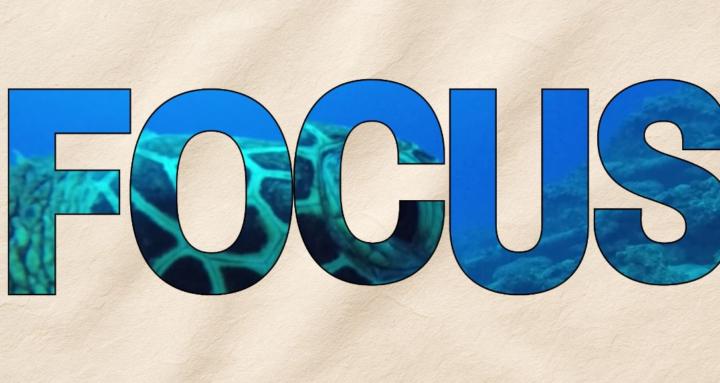 Focus Founders System